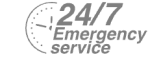 24/7 Emergency Service Pest Control in Buckhurst Hill, IG9. Call Now! 020 8166 9746